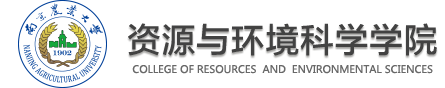 成人视频
